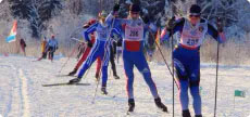 Спорт