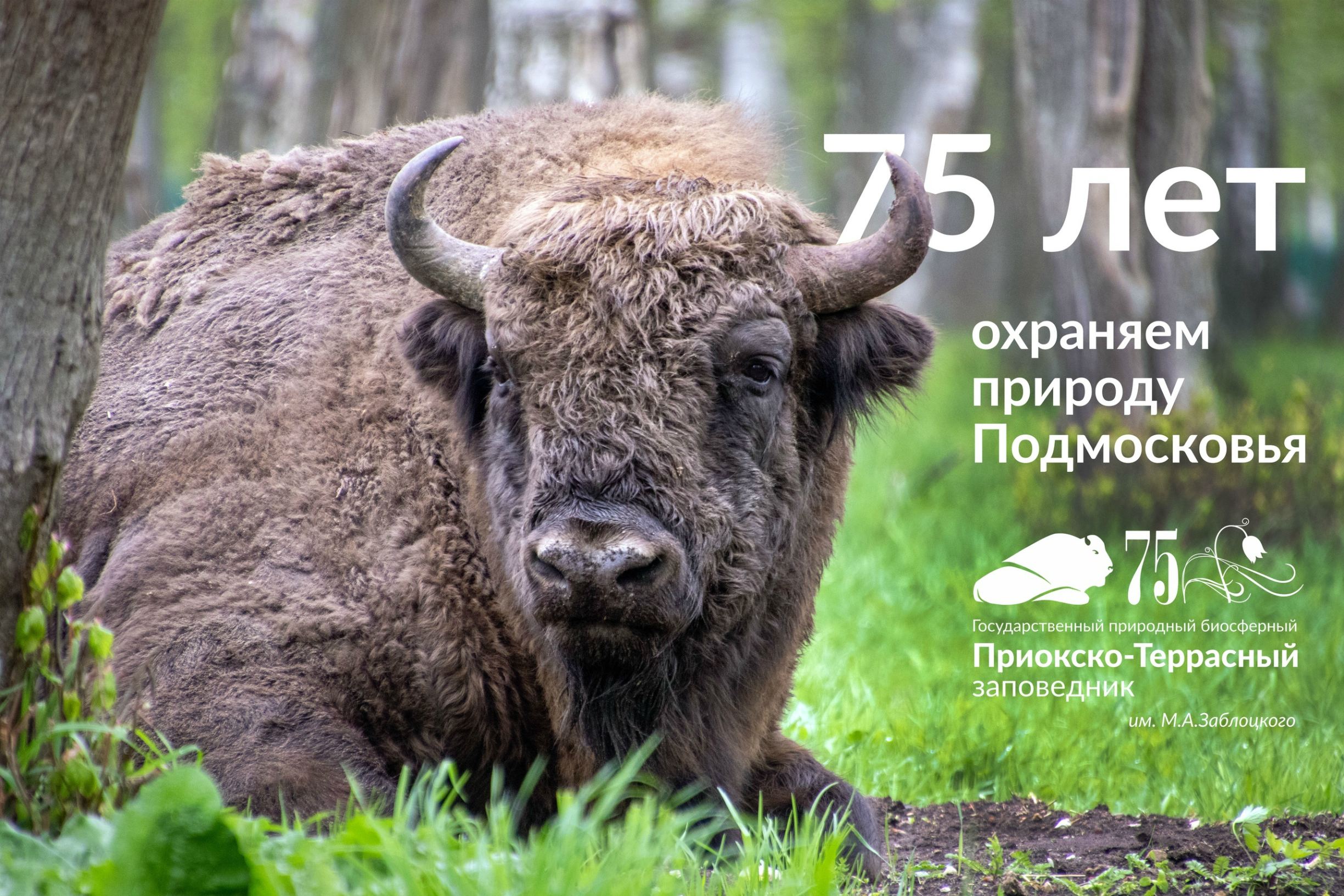 75 лет Приокско-Террасному заповеднику