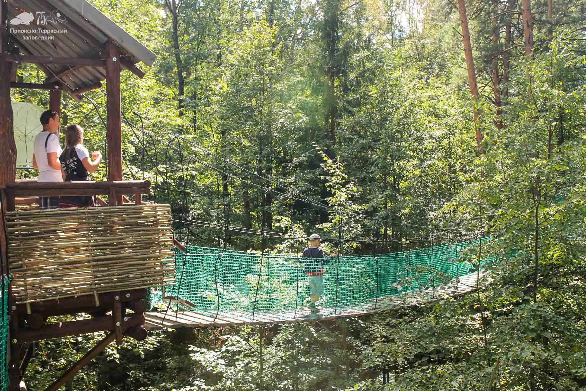 Высотная экотропа «Сквозь листву» в Приокско-Террасном заповеднике попала в топ экологических троп Подмосковья