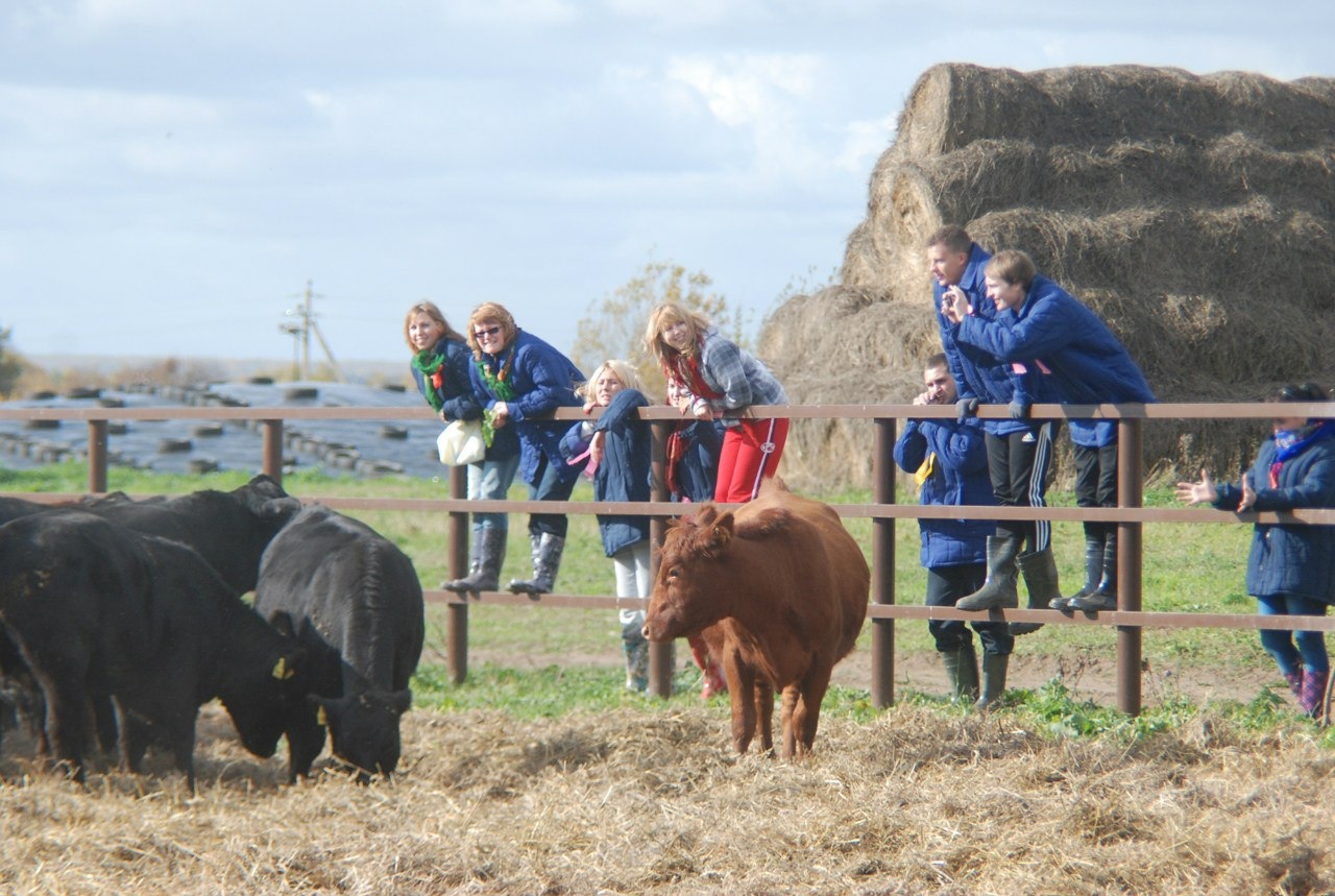 Агротуризм планируют развивать в Подмосковье