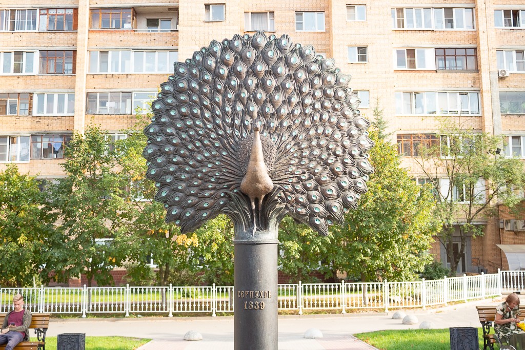 Автобусные истории Города С.