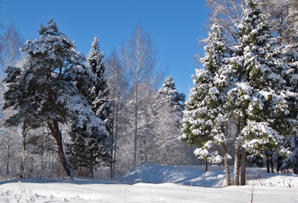 В России урегулируют вопросы экологического туризма