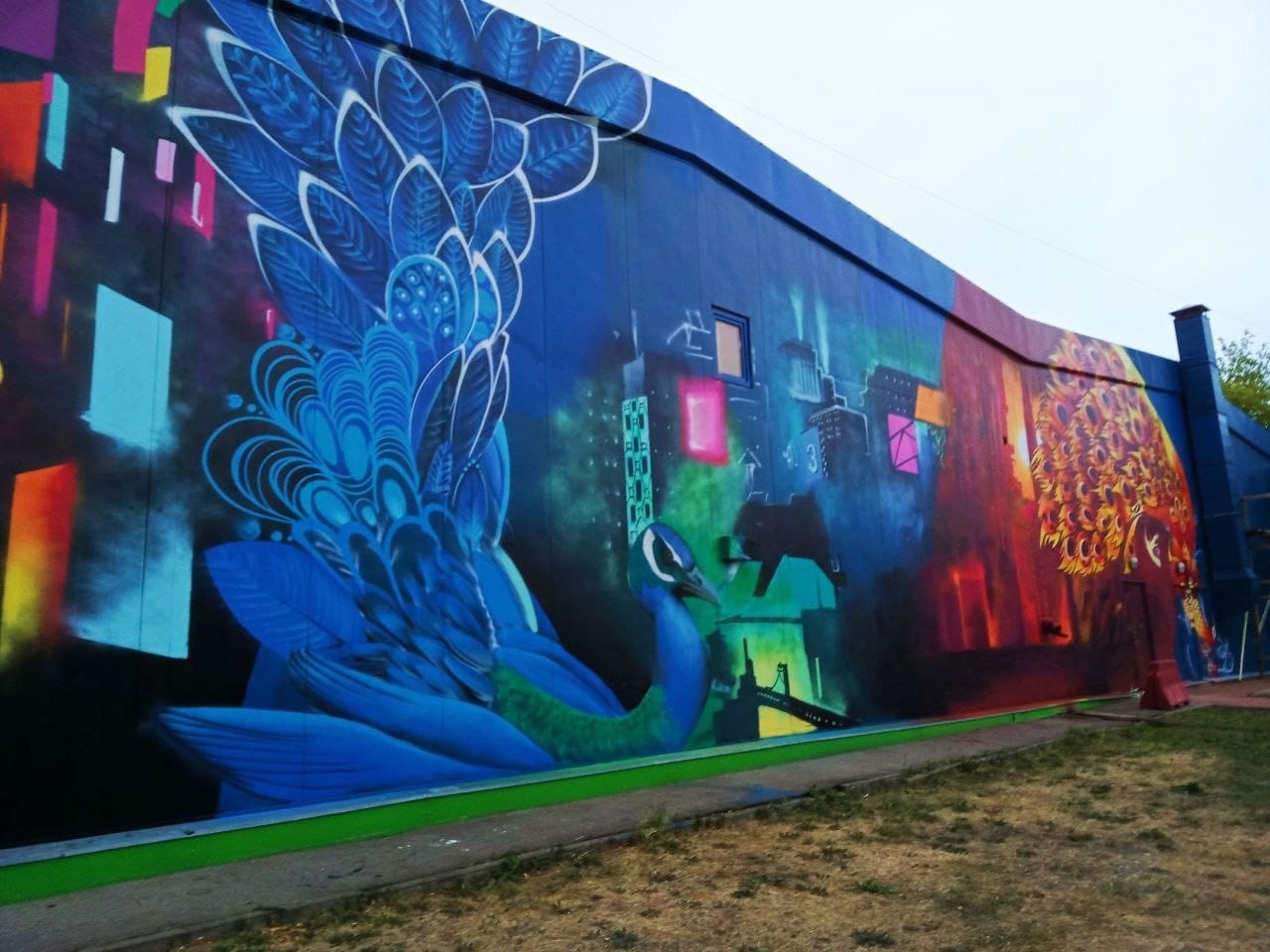 В Серпухове снова появилось новое граффити