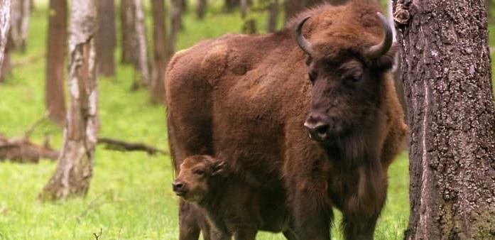 Течение Оки – течение времени