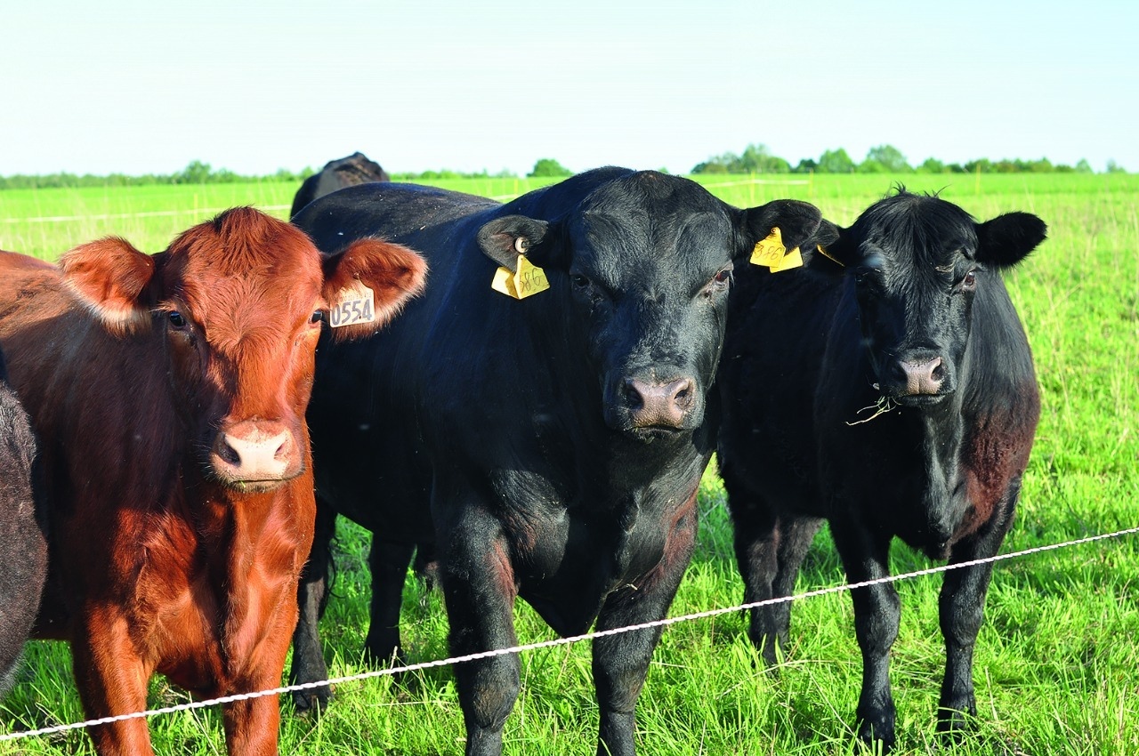 Экоотдых в Серпухове возможен!