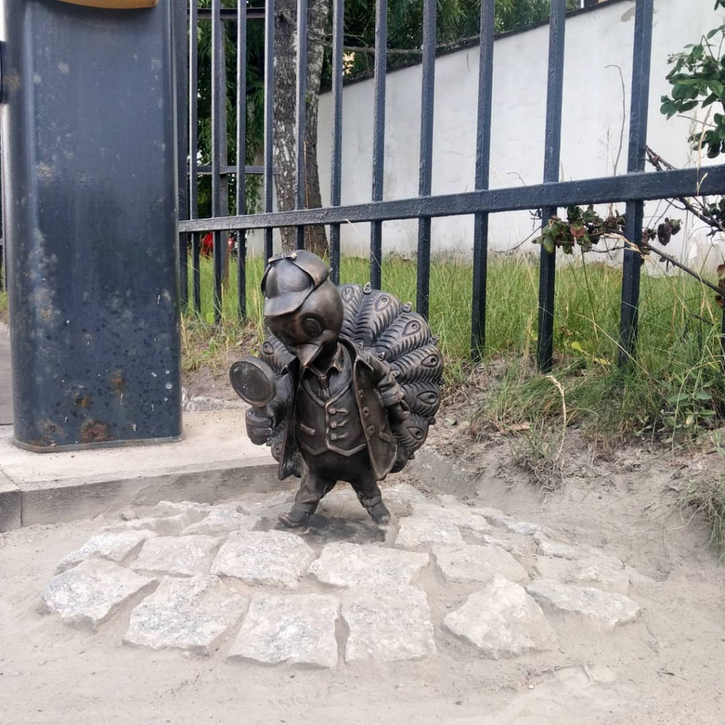 Павлин-следопыт