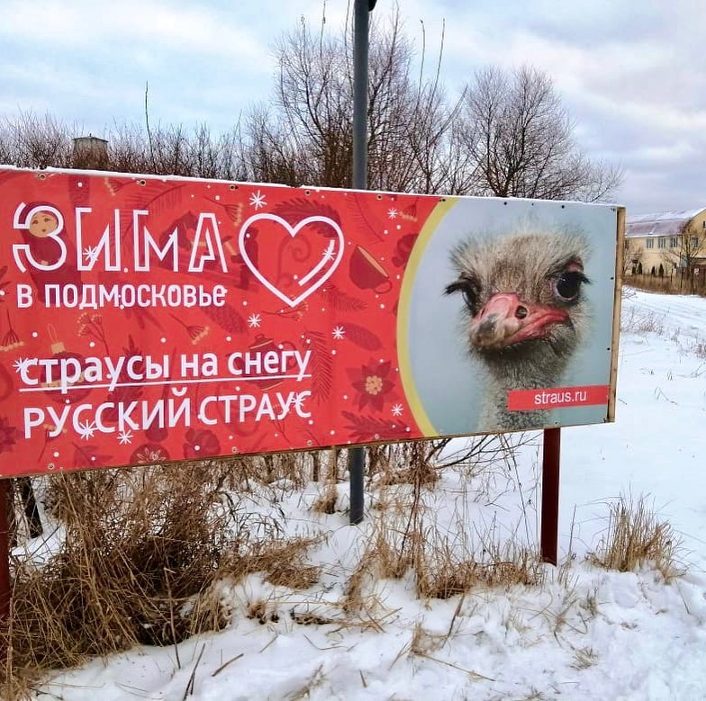 «Русский страус» попал в ТОП-10 эко-ферм национального туристического портала Russia Travel