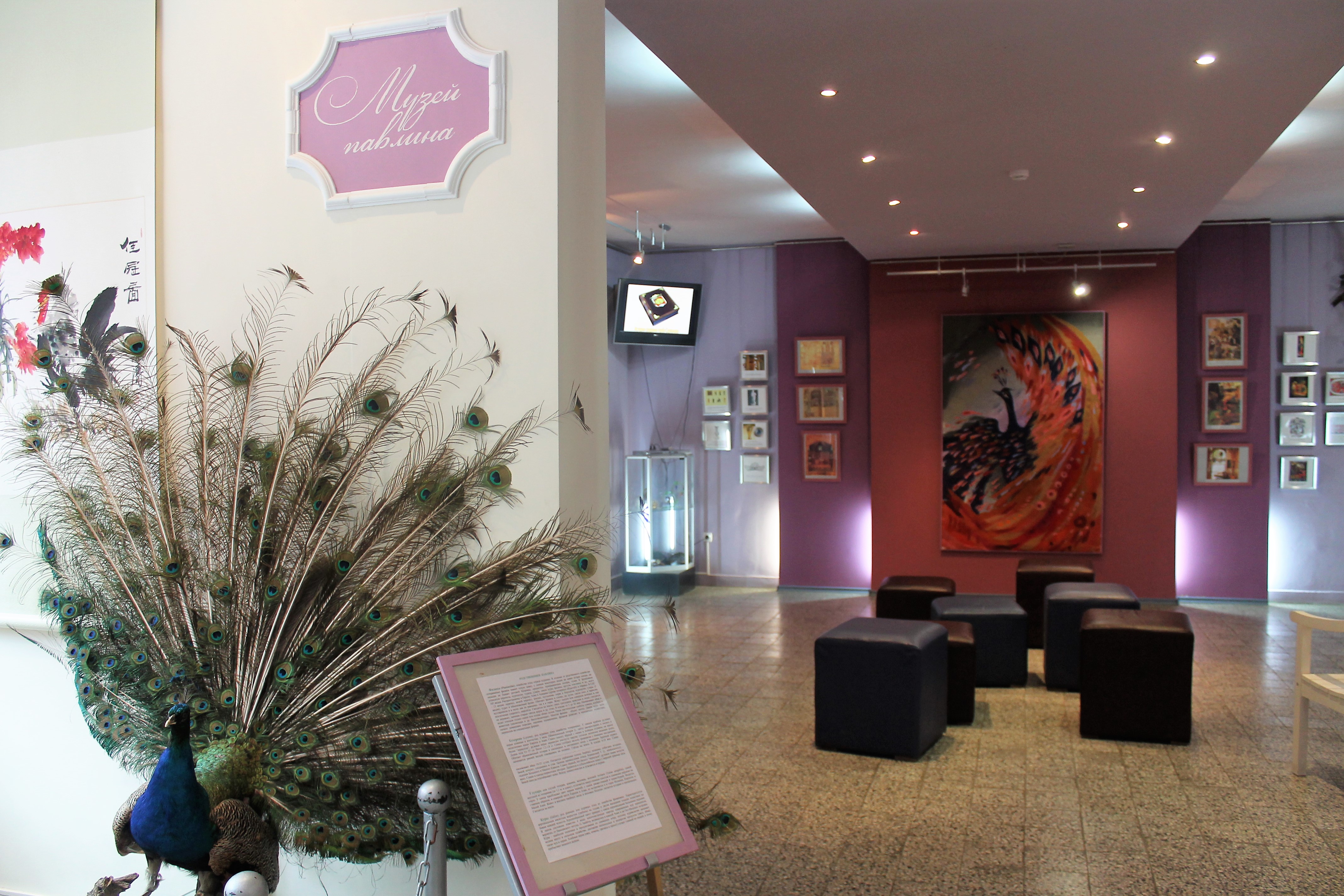 Музейно-выставочный центр